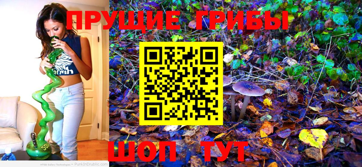 Галлюциногенные грибы MAGIC MUSHROOMS  Галлюциногенные грибы Psilocybine cubensis  Батайск  закладка  Вход с VPN 